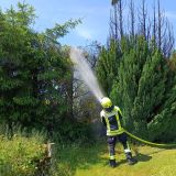 Brand